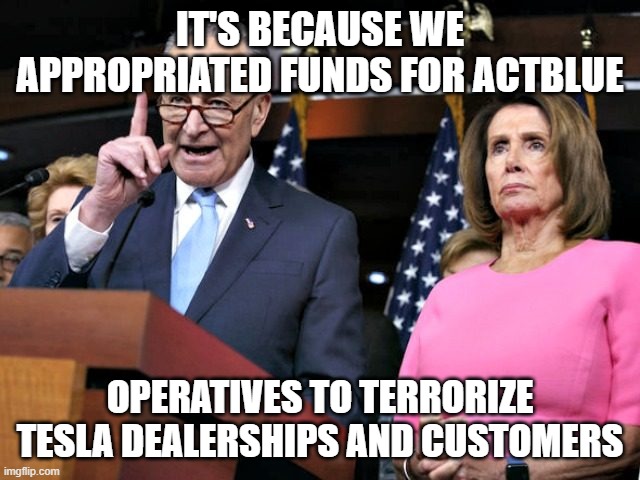 pelosi schumer | IT'S BECAUSE WE APPROPRIATED FUNDS FOR ACTBLUE OPERATIVES TO TERRORIZE TESLA DEALERSHIPS AND CUSTOMERS | image tagged in pelosi schumer | made w/ Imgflip meme maker