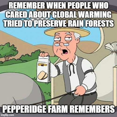 Pepperidge Farm Remembers | REMEMBER WHEN PEOPLE WHO CARED ABOUT GLOBAL WARMING TRIED TO PRESERVE RAIN FORESTS; PEPPERIDGE FARM REMEMBERS | image tagged in memes,pepperidge farm remembers | made w/ Imgflip meme maker