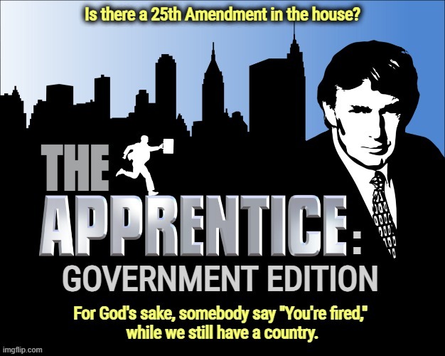 Is there a 25th Amendment in the house? | image tagged in trump,the apprentice,donald trump you're fired,you're fired,25th amendment,incompetence | made w/ Imgflip meme maker