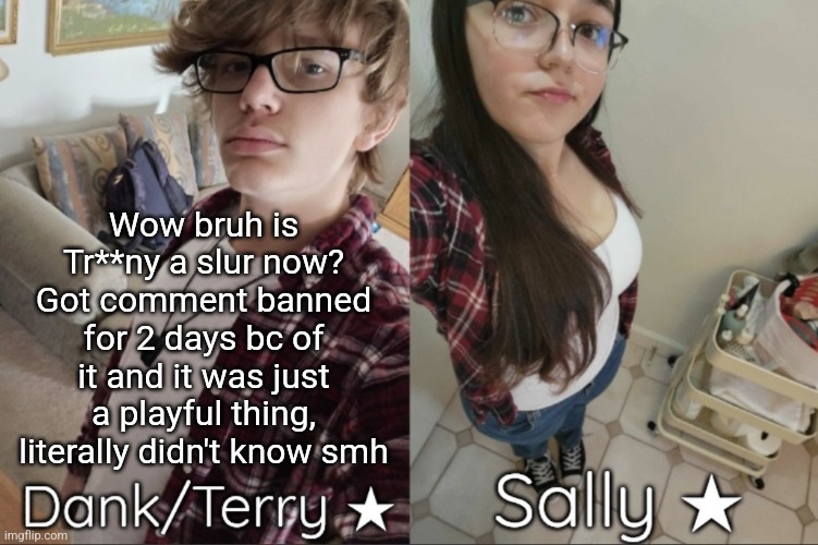 Dank/Sally matching shared temp | Wow bruh is Tr**ny a slur now? Got comment banned for 2 days bc of it and it was just a playful thing, literally didn't know smh | image tagged in dank/sally matching shared temp | made w/ Imgflip meme maker