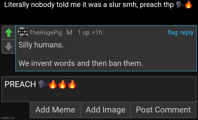 Literally nobody told me it was a slur smh, preach thp 🗣🔥 | made w/ Imgflip meme maker