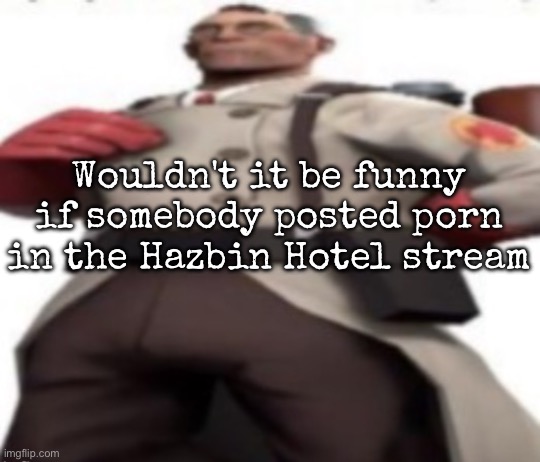 Ze medic | Wouldn't it be funny if somebody posted porn in the Hazbin Hotel stream | image tagged in ze medic,msmg | made w/ Imgflip meme maker