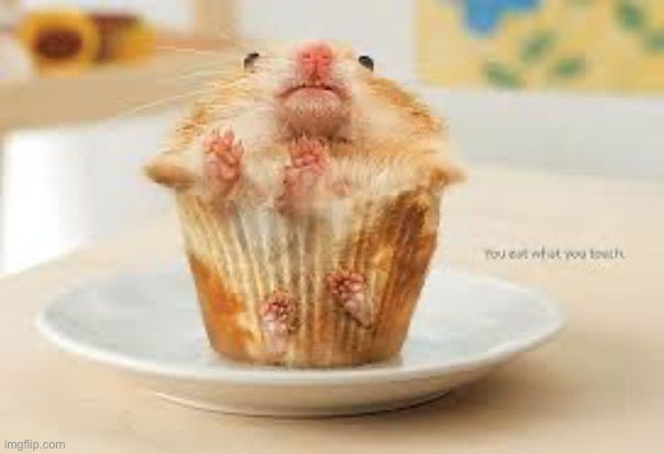 Do NOT eat | made w/ Imgflip meme maker