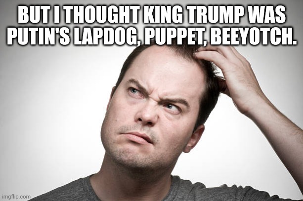 confused | BUT I THOUGHT KING TRUMP WAS PUTIN'S LAPDOG, PUPPET, BEEYOTCH. | image tagged in confused | made w/ Imgflip meme maker