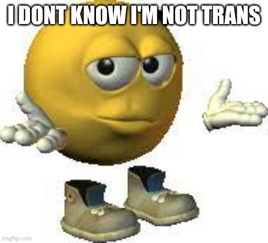 I DONT KNOW I'M NOT TRANS | image tagged in emoji guy shrug | made w/ Imgflip meme maker