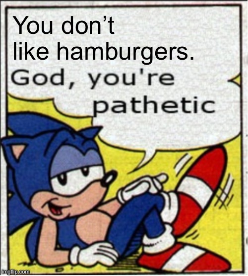 God, you're pathetic | You don’t like hamburgers. | image tagged in god you're pathetic | made w/ Imgflip meme maker