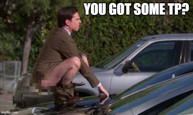 Andy Pooping on Wallace's Car | YOU GOT SOME TP? | image tagged in andy pooping on wallace's car | made w/ Imgflip meme maker