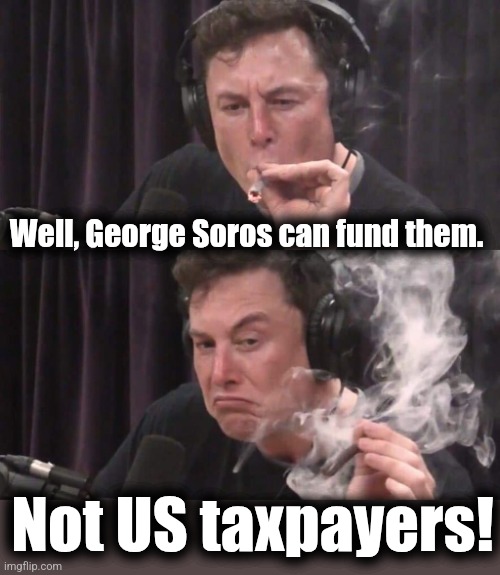 Elon Musk Weed | Well, George Soros can fund them. Not US taxpayers! | image tagged in elon musk weed | made w/ Imgflip meme maker