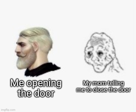 Kind of relatable | My mom telling me to close the door; Me opening the door | image tagged in before vs afrer | made w/ Imgflip meme maker