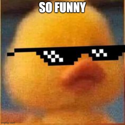 swag duck | SO FUNNY | image tagged in swag duck | made w/ Imgflip meme maker