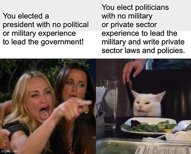 Woman Yelling At Cat | You elect politicians with no military or private sector experience to lead the military and write private sector laws and policies. You elected a president with no political or military experience to lead the government! | image tagged in memes,woman yelling at cat | made w/ Imgflip meme maker