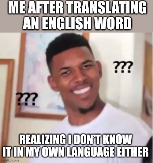 Nick Young | ME AFTER TRANSLATING AN ENGLISH WORD; REALIZING I DON’T KNOW IT IN MY OWN LANGUAGE EITHER | image tagged in nick young | made w/ Imgflip meme maker