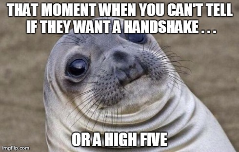 Awkward Moment Sealion Meme | THAT MOMENT WHEN YOU CAN'T TELL IF THEY WANT A HANDSHAKE . . . OR A HIGH FIVE | image tagged in memes,awkward moment sealion | made w/ Imgflip meme maker