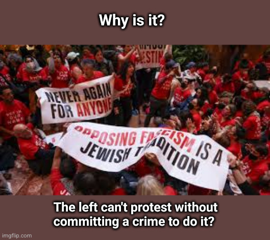 Criminal protests by the left | Why is it? The left can't protest without
committing a crime to do it? | image tagged in protests,trump,doge,waste fraud and abuse | made w/ Imgflip meme maker