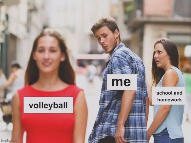 volleyball, me, and homework | image tagged in volleyball,homework,practice,why,memes,funny | made w/ Imgflip meme maker