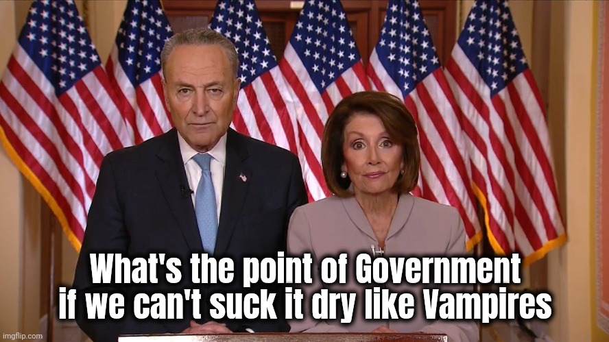 Chuck and Nancy | What's the point of Government if we can't suck it dry like Vampires | image tagged in chuck and nancy | made w/ Imgflip meme maker