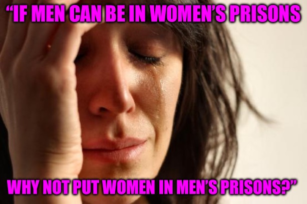 New World Cucks | “IF MEN CAN BE IN WOMEN’S PRISONS; WHY NOT PUT WOMEN IN MEN’S PRISONS?” | image tagged in first world problems,nwo police state,cucks,red pill,political memes,prison | made w/ Imgflip meme maker