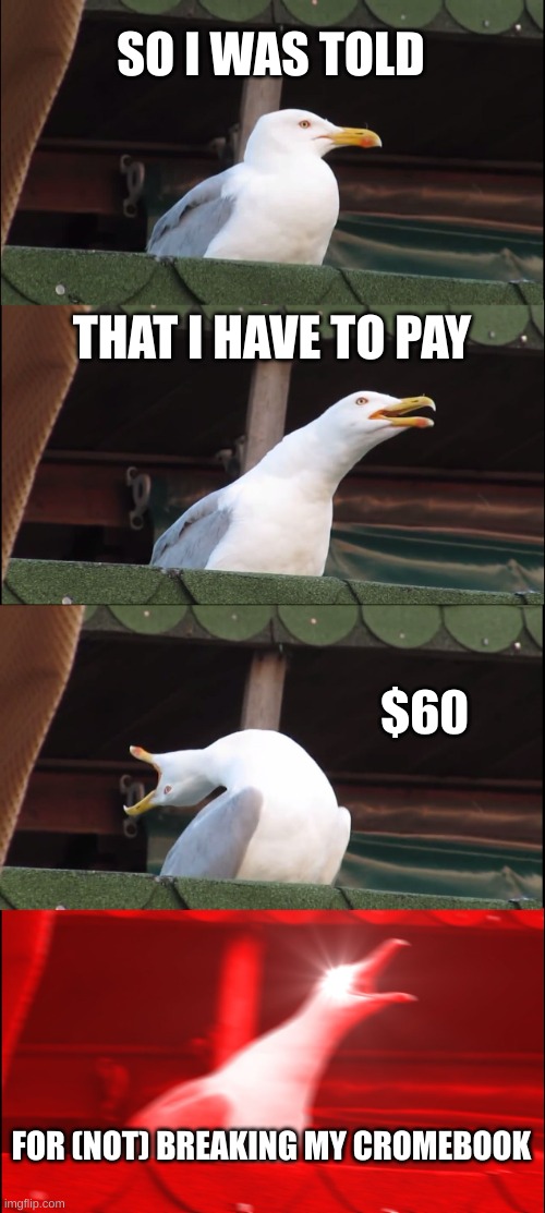 WHY?!???!! | SO I WAS TOLD; THAT I HAVE TO PAY; $60; FOR (NOT) BREAKING MY CROMEBOOK | image tagged in memes,inhaling seagull,chromebook | made w/ Imgflip meme maker