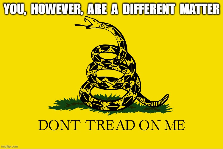 MAGA Values | YOU,  HOWEVER,  ARE  A  DIFFERENT  MATTER | image tagged in maga | made w/ Imgflip meme maker