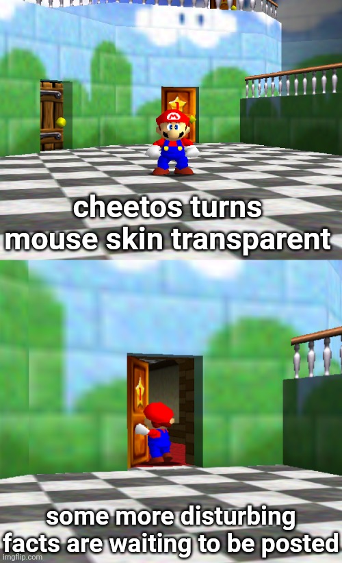 Mario Will Return Next Week With More Disturbing Facts | cheetos turns mouse skin transparent; some more disturbing facts are waiting to be posted | image tagged in mario will return next week with more disturbing facts | made w/ Imgflip meme maker