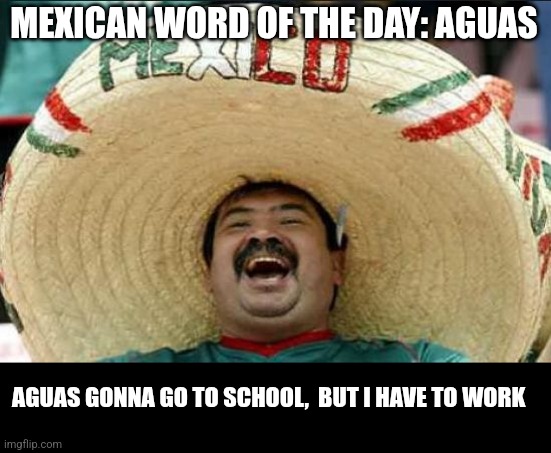 I'm gonna learn you some Spanish | MEXICAN WORD OF THE DAY: AGUAS; AGUAS GONNA GO TO SCHOOL,  BUT I HAVE TO WORK | image tagged in mexican word of the day | made w/ Imgflip meme maker