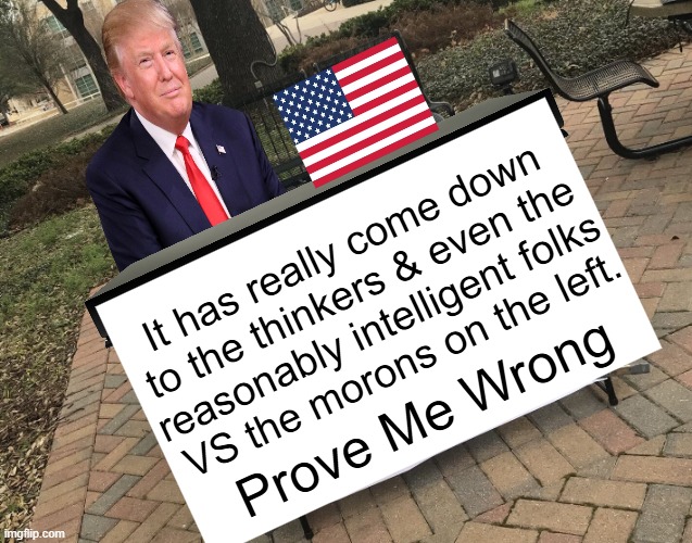 I mean, how else could we interpret it today? | It has really come down 
to the thinkers & even the 
reasonably intelligent folks 
VS the morons on the left. Prove Me Wrong | image tagged in prove me wrong trump template,american flag transparent,donald trump,liberals vs conservatives,america,enemies | made w/ Imgflip meme maker