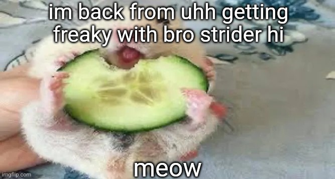 im back from uhh getting freaky with bro strider hi; meow | made w/ Imgflip meme maker