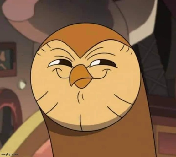Hooty like | image tagged in hooty like | made w/ Imgflip meme maker