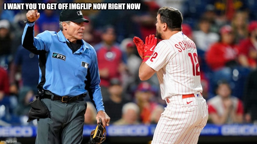 mlb umpire | I WANT YOU TO GET OFF IMGFLIP NOW RIGHT NOW | image tagged in mlb umpire | made w/ Imgflip meme maker