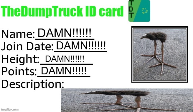 TheDumpTruck ID Card | DAMN!!!!!! DAMN!!!!!! DAMN!!!!!! DAMN!!!!! | image tagged in thedumptruck id card | made w/ Imgflip meme maker