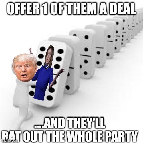 Democrats......just as loyal to each other as the mob | OFFER 1 OF THEM A DEAL; ....AND THEY'LL RAT OUT THE WHOLE PARTY | image tagged in domino | made w/ Imgflip meme maker