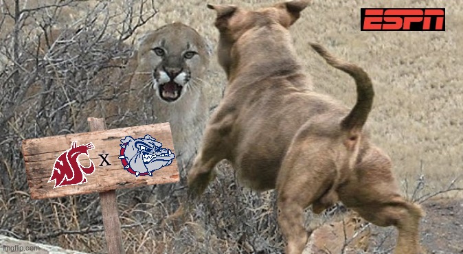 Gonzaga Bulldogs meme | X | image tagged in memes,college football,sports,basketball,nba memes,basketball meme | made w/ Imgflip meme maker