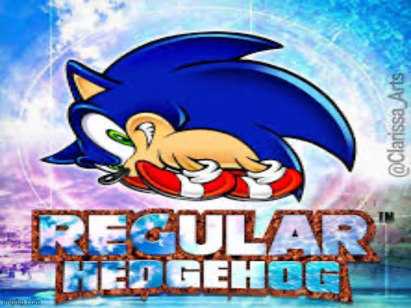 Regular Hedgehog | made w/ Imgflip meme maker