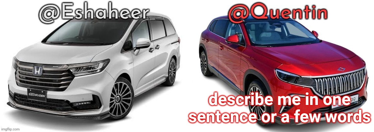 eshahir and quentin temp | describe me in one sentence or a few words | image tagged in eshahir and quentin temp | made w/ Imgflip meme maker