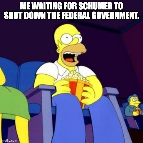 Homer eating popcorn | ME WAITING FOR SCHUMER TO SHUT DOWN THE FEDERAL GOVERNMENT. | image tagged in homer eating popcorn | made w/ Imgflip meme maker