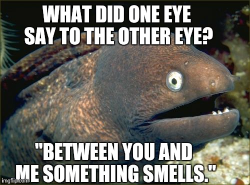 Bad Joke Eel Meme | WHAT DID ONE EYE SAY TO THE OTHER EYE? "BETWEEN YOU AND ME SOMETHING SMELLS." | image tagged in memes,bad joke eel | made w/ Imgflip meme maker