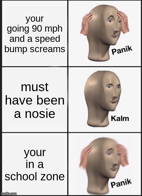 HOMERUN | your going 90 mph and a speed bump screams; must have been a nosie; your in a school zone | image tagged in memes,panik kalm panik | made w/ Imgflip meme maker