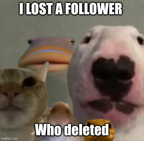 not again | I LOST A FOLLOWER; Who deleted | image tagged in the council,followers,delete | made w/ Imgflip meme maker