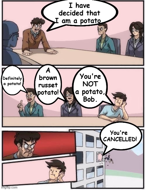 I wish this meme were more hypothetical | I have decided that I am a potato. A brown russet potato! You're NOT a potato,
 Bob. Definitely 
a potato! You're 
CANCELLED! | image tagged in conference room 2,cancel culture,lies | made w/ Imgflip meme maker