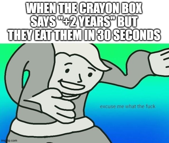 Excuse me, what the fuck | WHEN THE CRAYON BOX SAYS "+2 YEARS" BUT THEY EAT THEM IN 30 SECONDS | image tagged in excuse me what the fuck | made w/ Imgflip meme maker