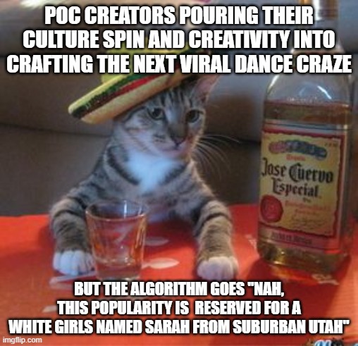 MDSC31 | POC CREATORS POURING THEIR CULTURE SPIN AND CREATIVITY INTO CRAFTING THE NEXT VIRAL DANCE CRAZE; BUT THE ALGORITHM GOES "NAH, THIS POPULARITY IS  RESERVED FOR A WHITE GIRLS NAMED SARAH FROM SUBURBAN UTAH" | image tagged in mexican cat | made w/ Imgflip meme maker