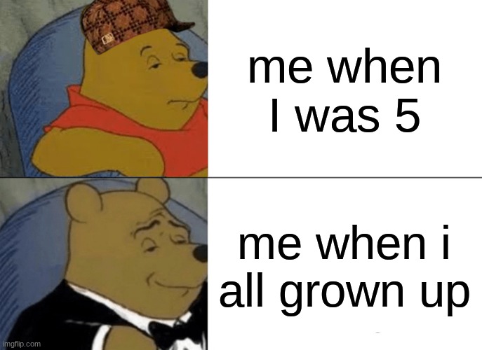 MEME | me when I was 5; me when i all grown up | image tagged in memes,tuxedo winnie the pooh | made w/ Imgflip meme maker