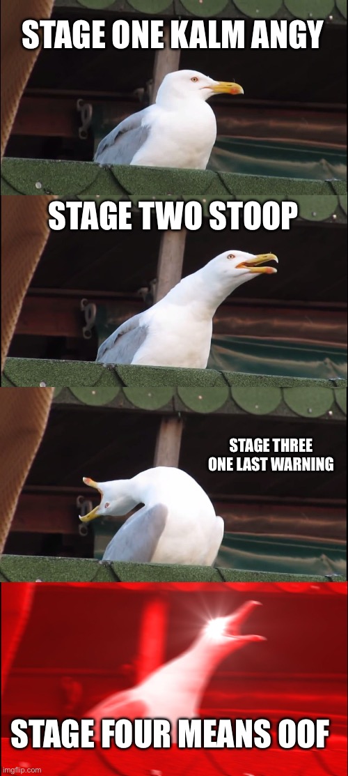 Oh hell nah | STAGE ONE KALM ANGY; STAGE TWO STOOP; STAGE THREE ONE LAST WARNING; STAGE FOUR MEANS OOF | image tagged in memes,inhaling seagull,teachers,mad | made w/ Imgflip meme maker