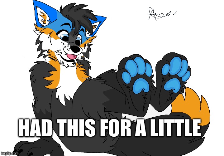 Cute pupper!! | HAD THIS FOR A LITTLE | image tagged in furry,anthro,art | made w/ Imgflip meme maker