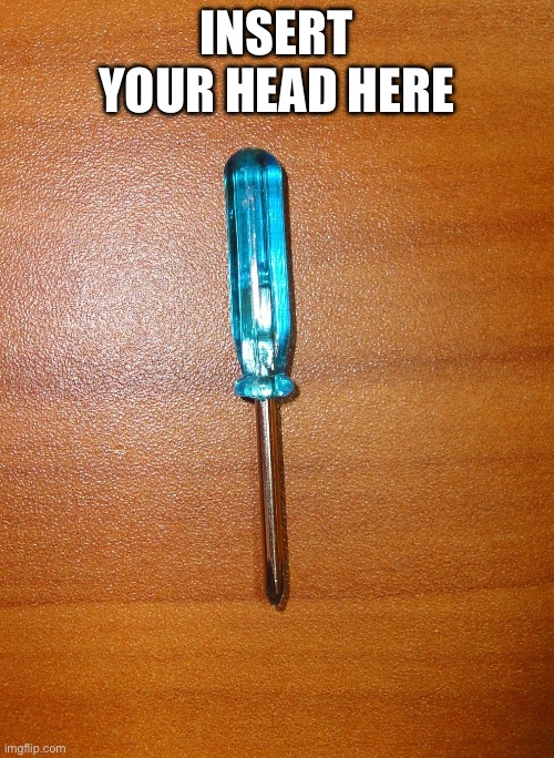 blue screwdriver | INSERT YOUR HEAD HERE | image tagged in blue screwdriver | made w/ Imgflip meme maker