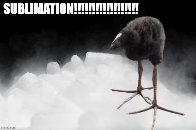 Post in the MSMG..mp3 | SUBLIMATION!!!!!!!!!!!!!!!!!! | made w/ Imgflip meme maker