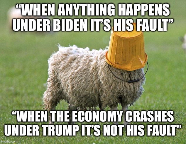 stupid sheep | “WHEN ANYTHING HAPPENS UNDER BIDEN IT’S HIS FAULT” “WHEN THE ECONOMY CRASHES UNDER TRUMP IT’S NOT HIS FAULT” | image tagged in stupid sheep | made w/ Imgflip meme maker