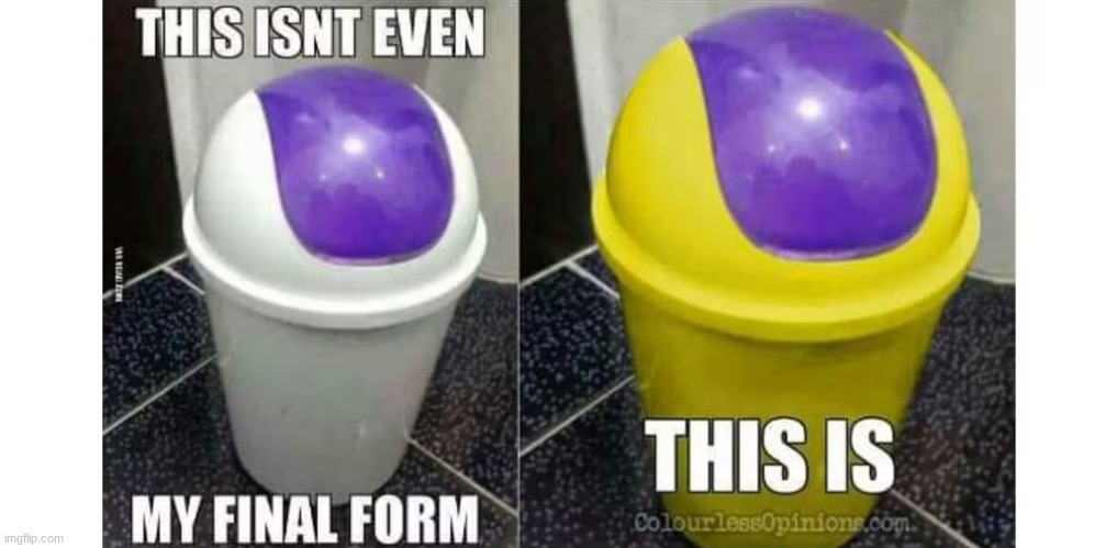 golden trashcan | image tagged in meme | made w/ Imgflip meme maker