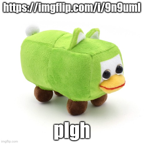 https://imgflip.com/i/9n9uml | https://imgflip.com/i/9n9uml; plgh | image tagged in cubepy | made w/ Imgflip meme maker
