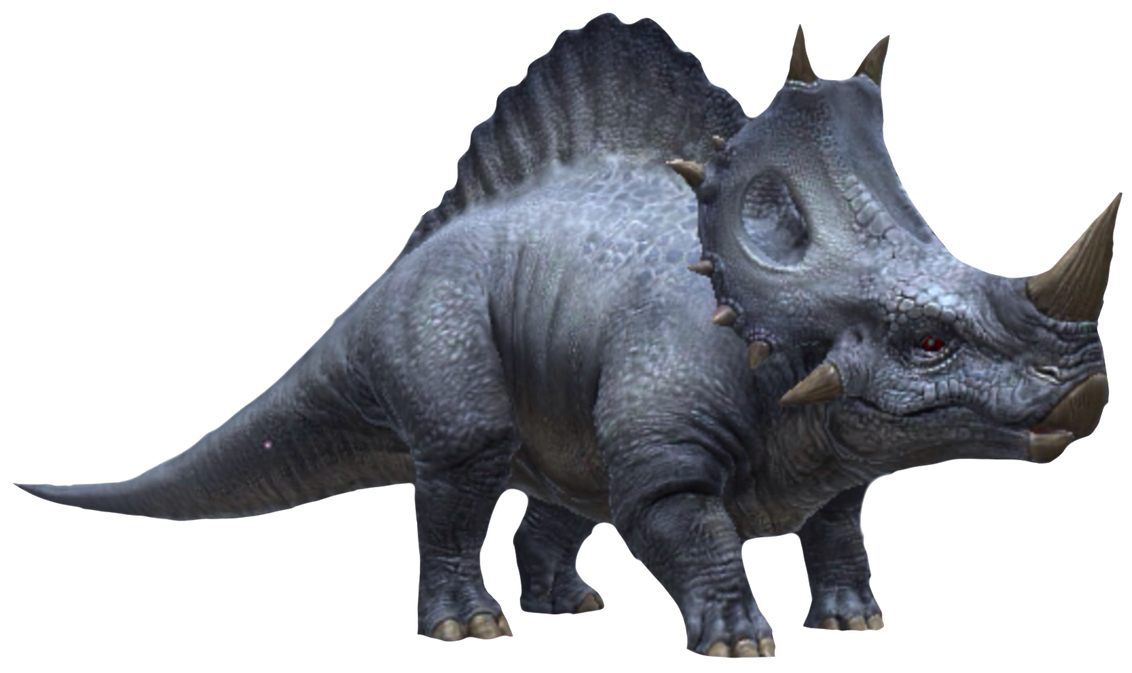 Rebel (Adult) Blank Meme Template